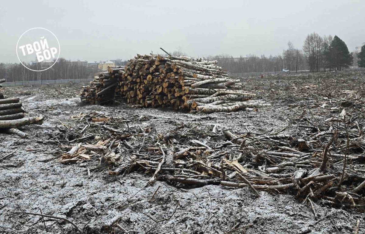 Фото с Бездонки для истории