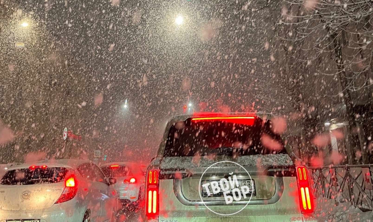 Сильный снегопад надвигается на Бор