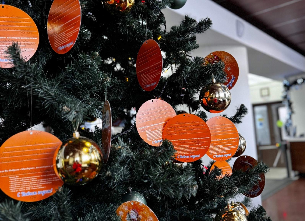 На Бору стартовала ежегодная благотворительная акция «Мандарин»