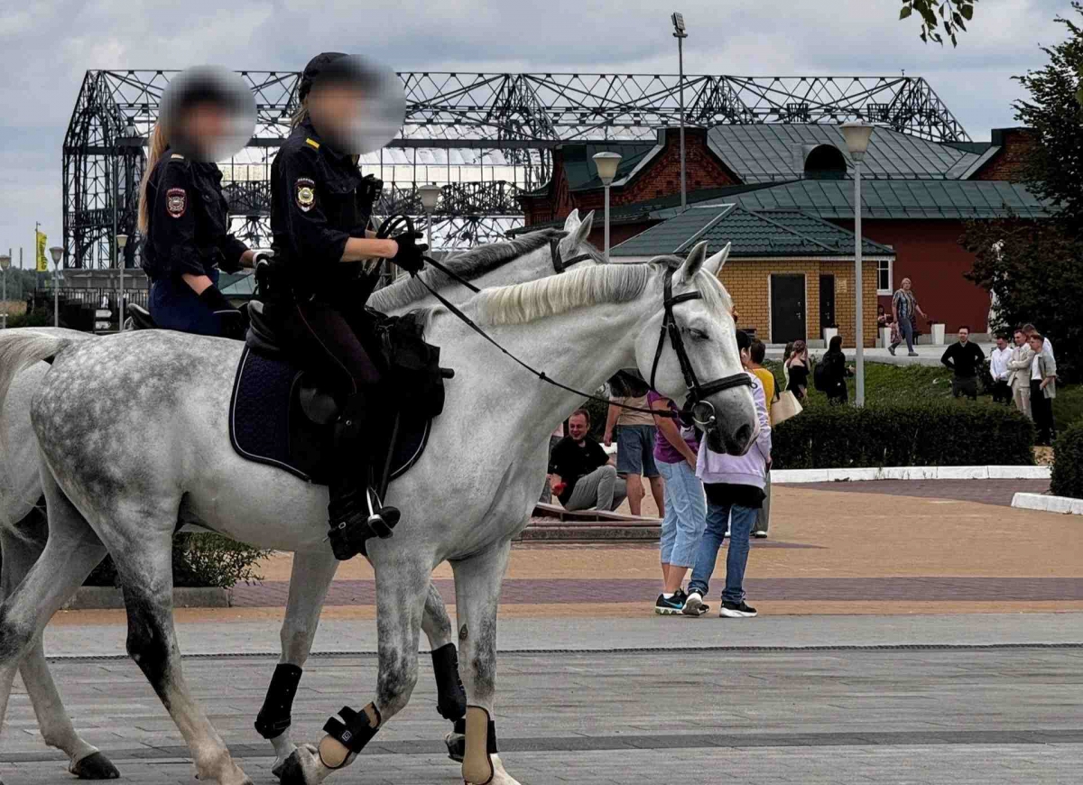 За борчанами усилят контроль