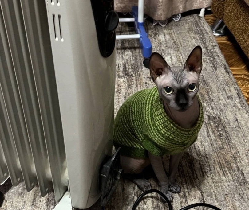 Жители Редькино жалуются на холод в домах