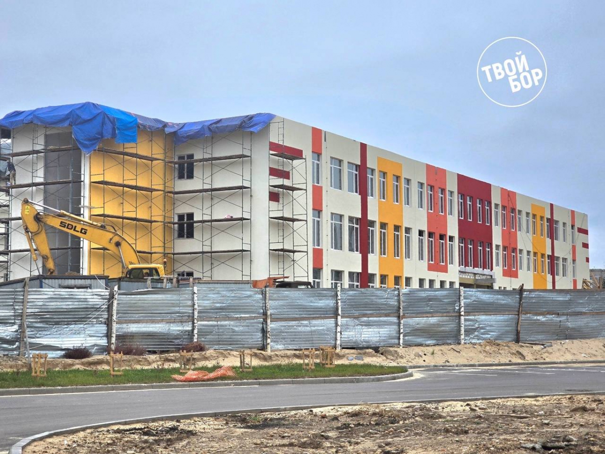 Построят ли новые школы на Бору?
