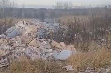 Борский стыд