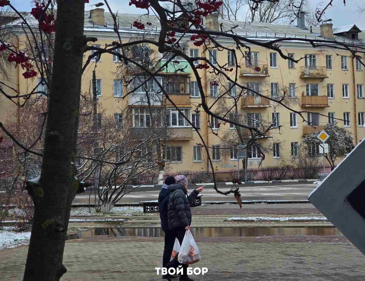 Какие законодательные изменения вступят в силу с 1 декабря?