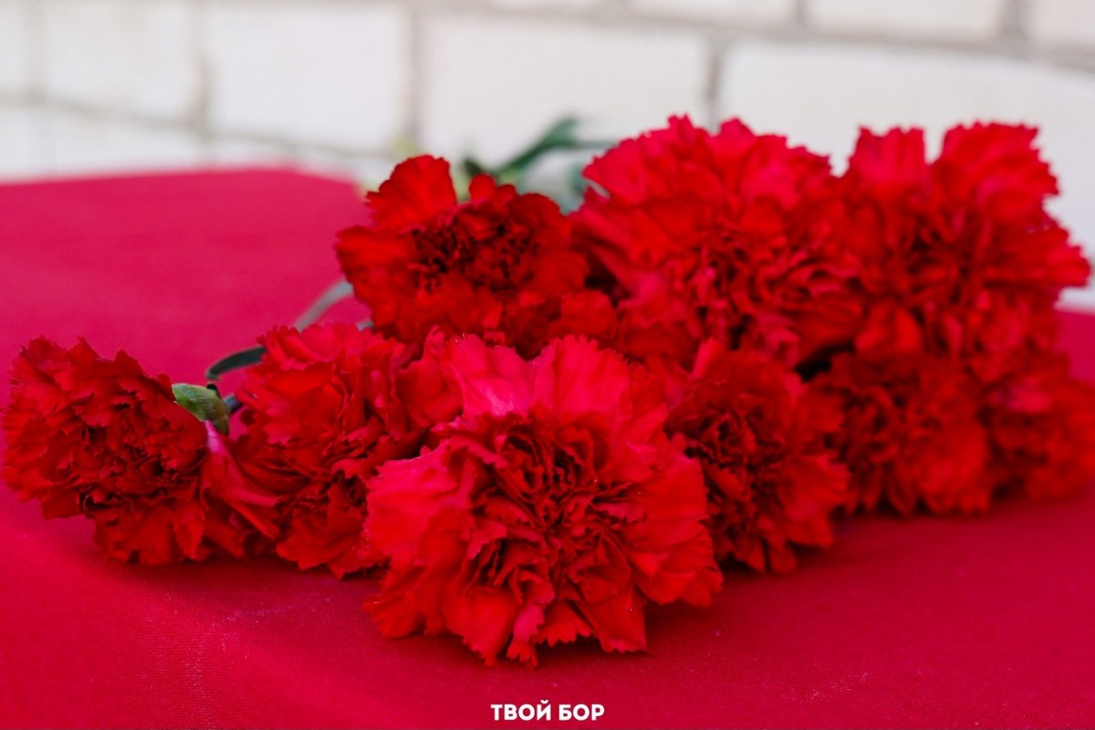 Мемориальные доски в честь бойцов, погибших на СВО установят на Бору