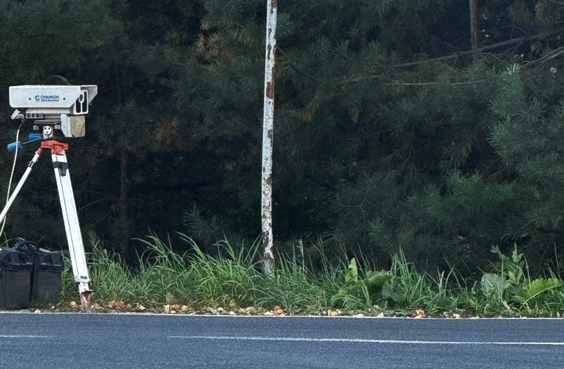 А что будет, если уберут камеры с борских дорог?