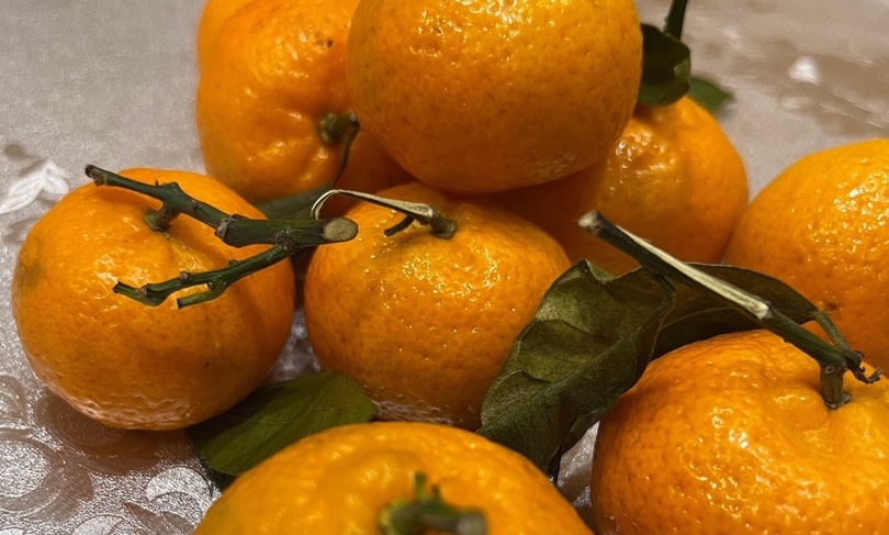 Перед Новым годом то…