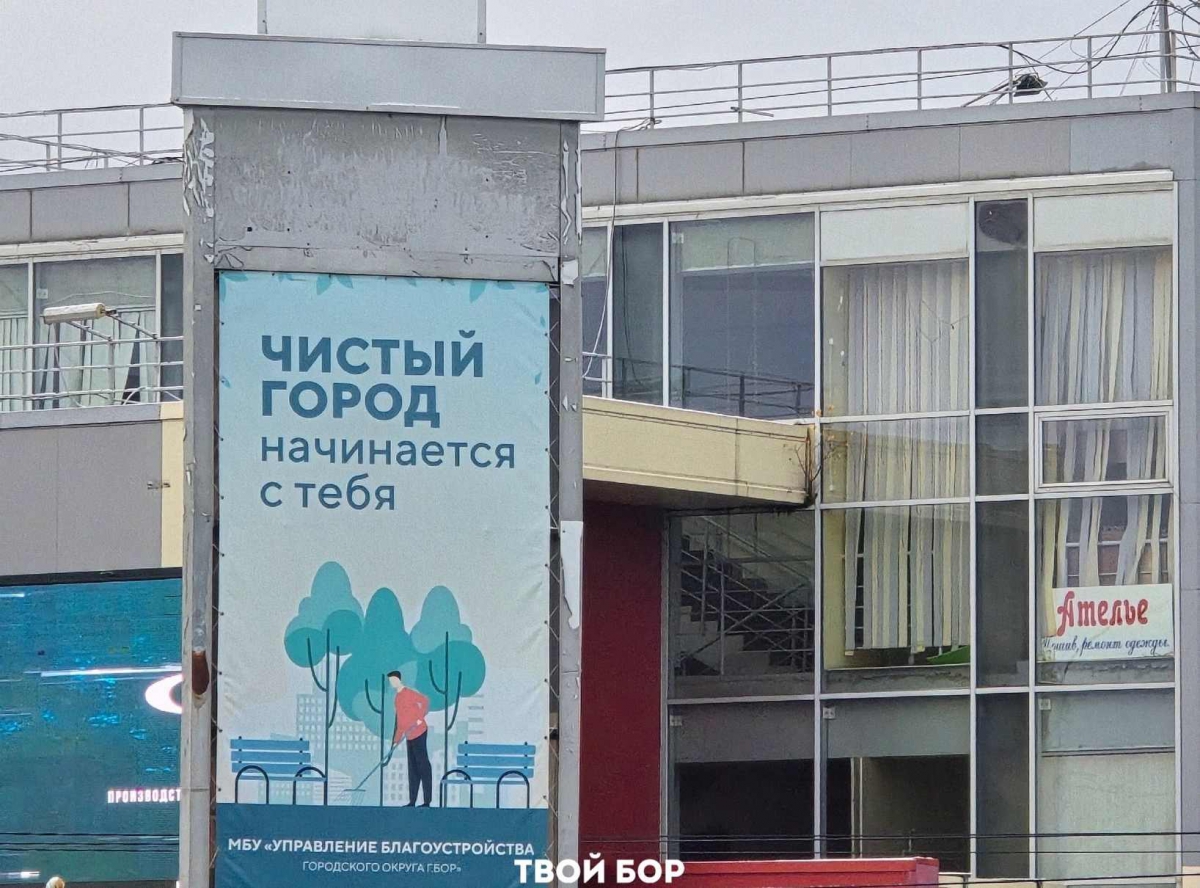 Почему на Бору возникают проблемы с вывозом мусора?