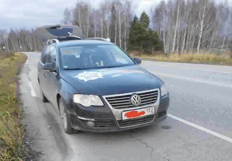 Есть на Бору настоящие мужчины!