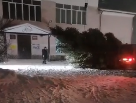 В Кантаурово привезли новогоднюю красавицу