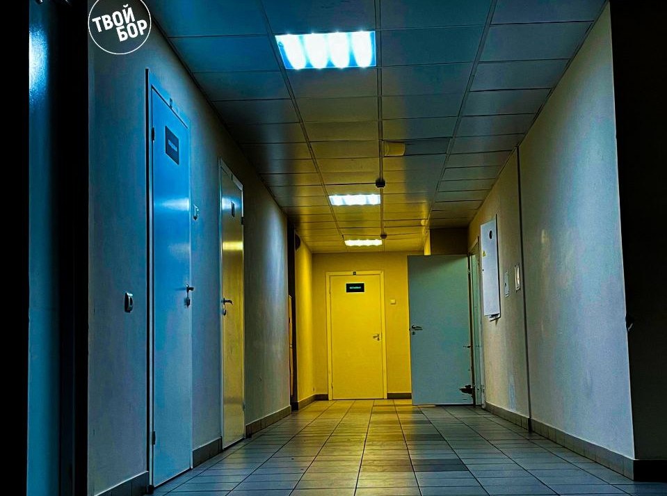 В городе Бор водитель осуждена за ДТП с «неизгладимым обезображиванием лица»