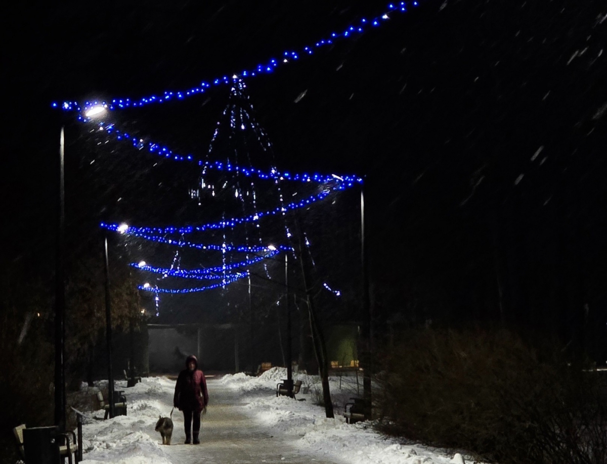 В парке стало ещё новогоднее: появилась над аллеей гирлянда, а в конце – шикарная ёлка