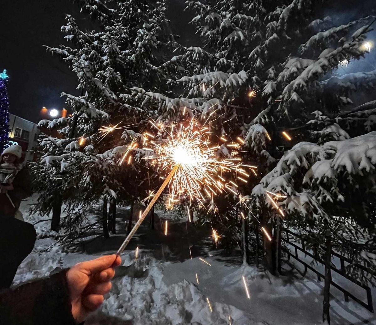 В Нижегородской области и на Бору с 25 декабря вводится особый противопожарный режим