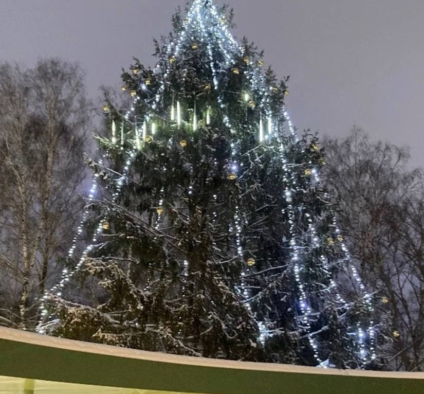 В парке ёлка тоже готова к Новому году