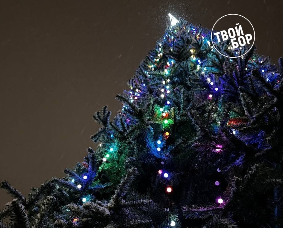 Новый год всё ближе, ёлок на Бору всё больше