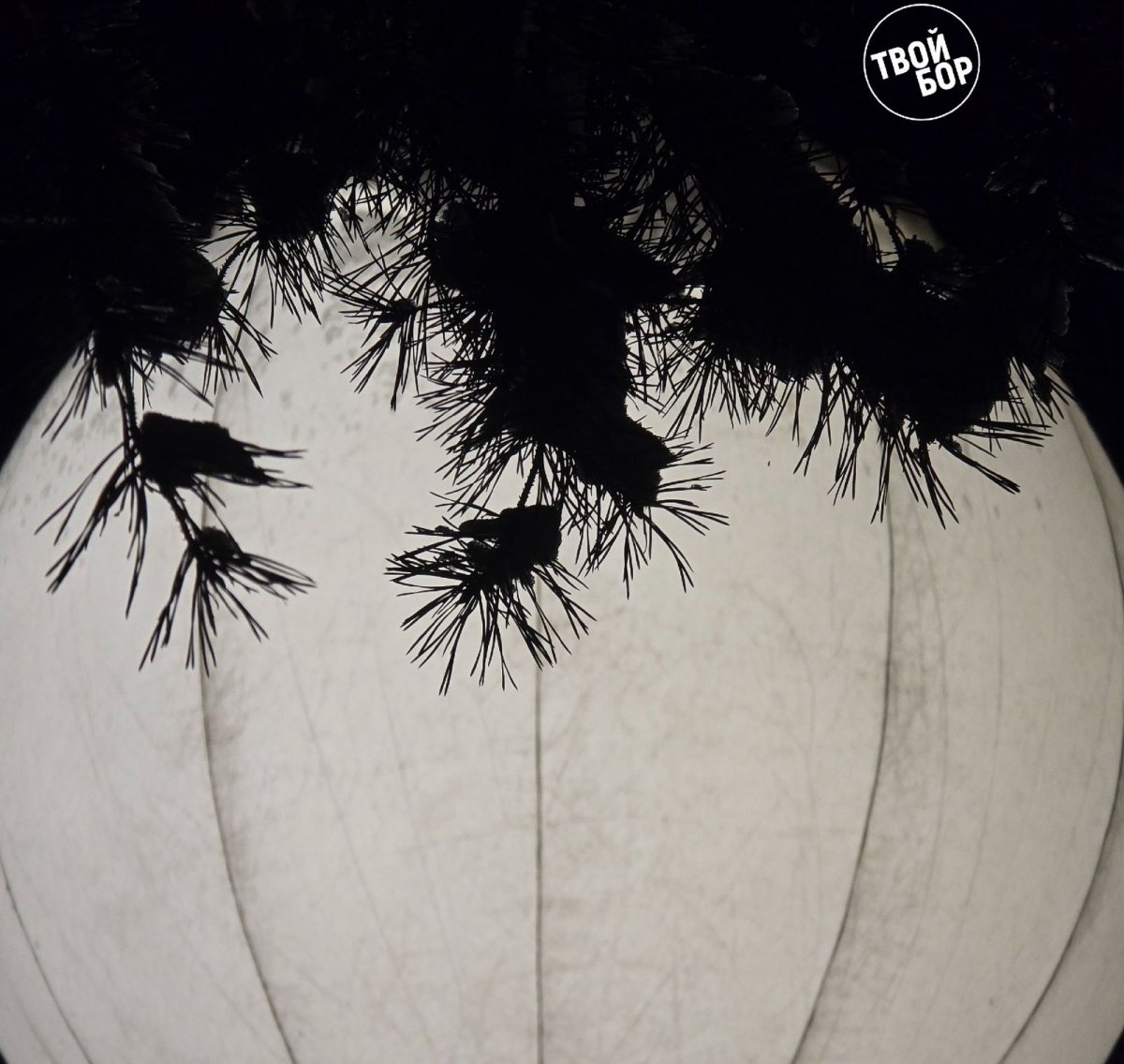 На Моховых установлены все 3 луны