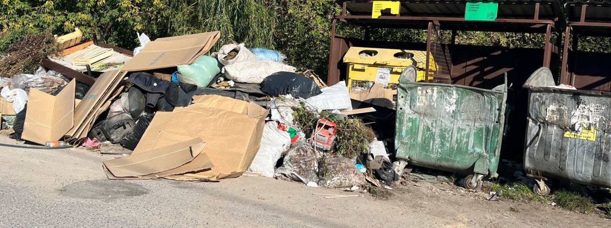 Пост подписчицы по поводу мусорящих борчан