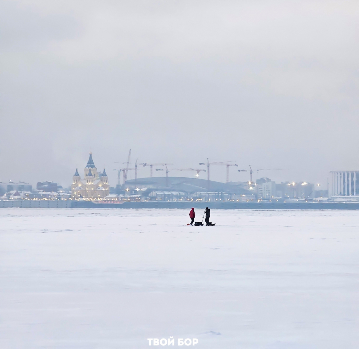 С 15 декабря в Нижегородской области действует запрет на ловлю налима