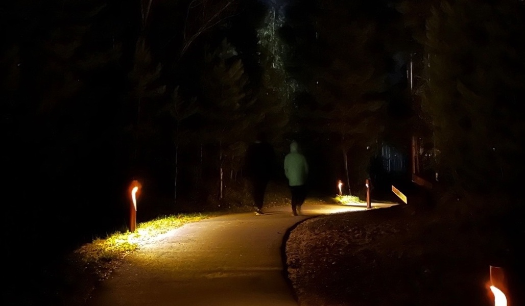 Отключение электроэнергии на Бору 3 декабря