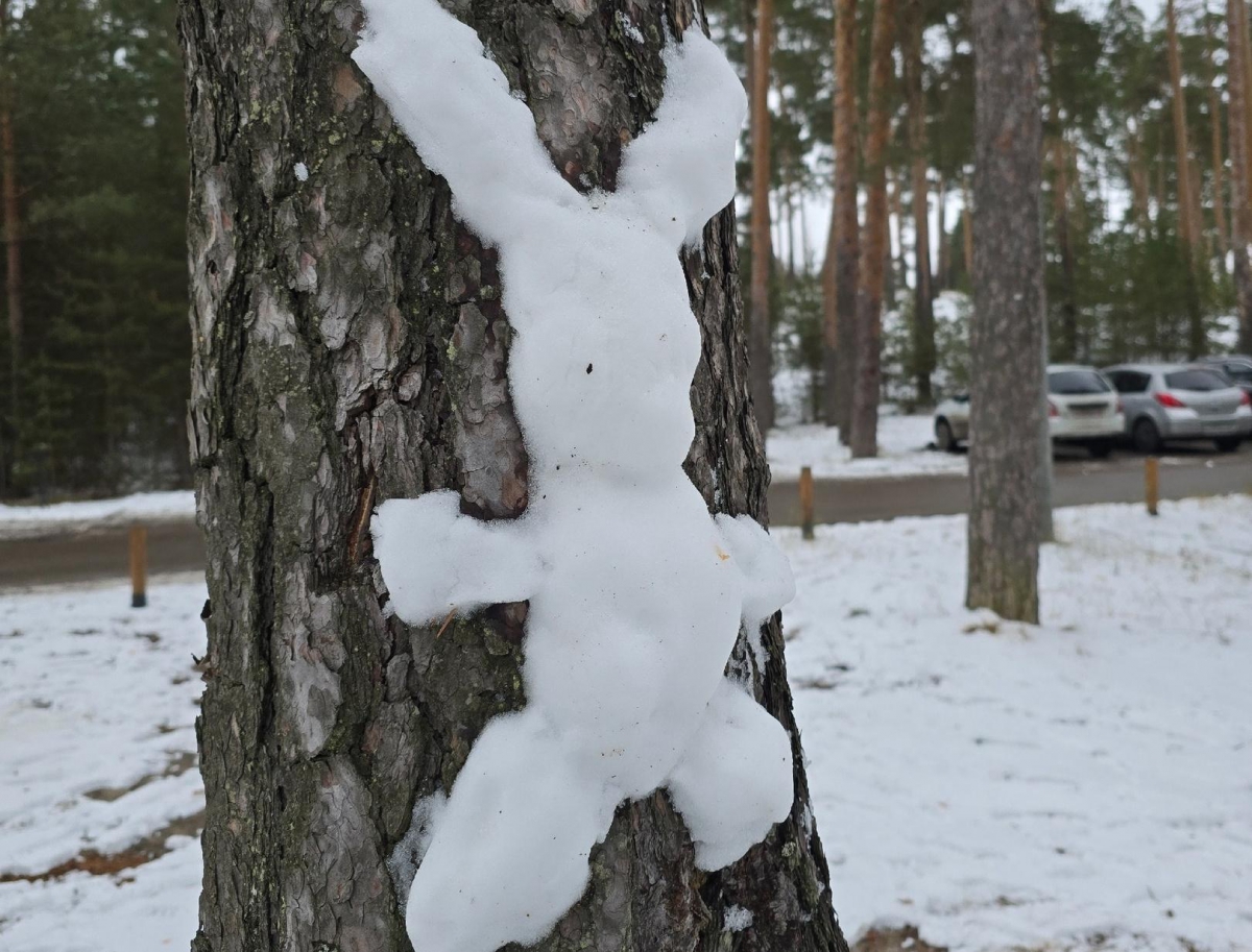 Начинать будем с нуля, потом пойдём на понижение
