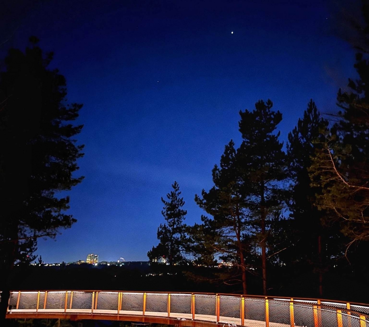 Борчане смогут наблюдать два ярких метеорных потока