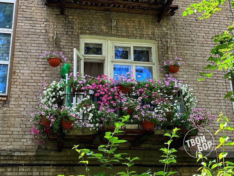 Самый цветочный балкон на Бору