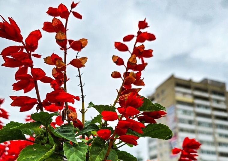 Надо будет хорошо постараться...