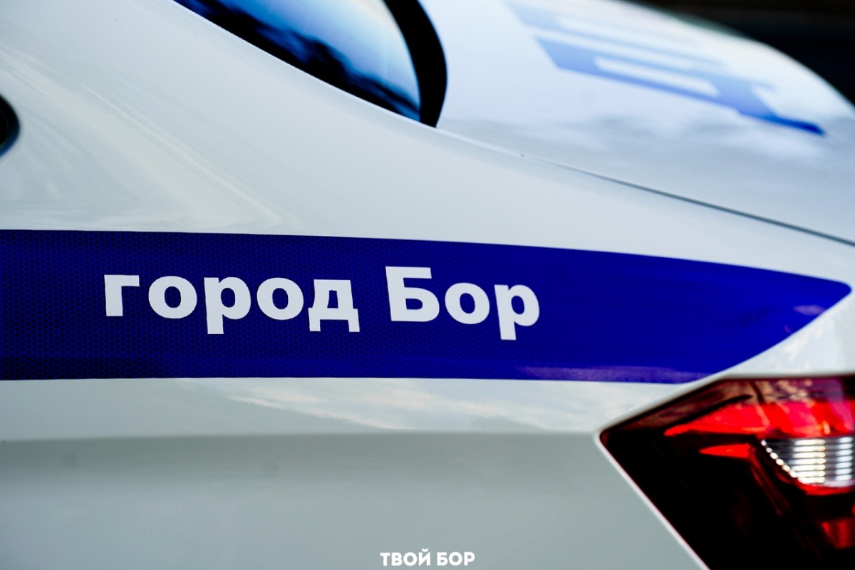 Бор попал в отчет начальника ГУ МВД России по Нижегородской области