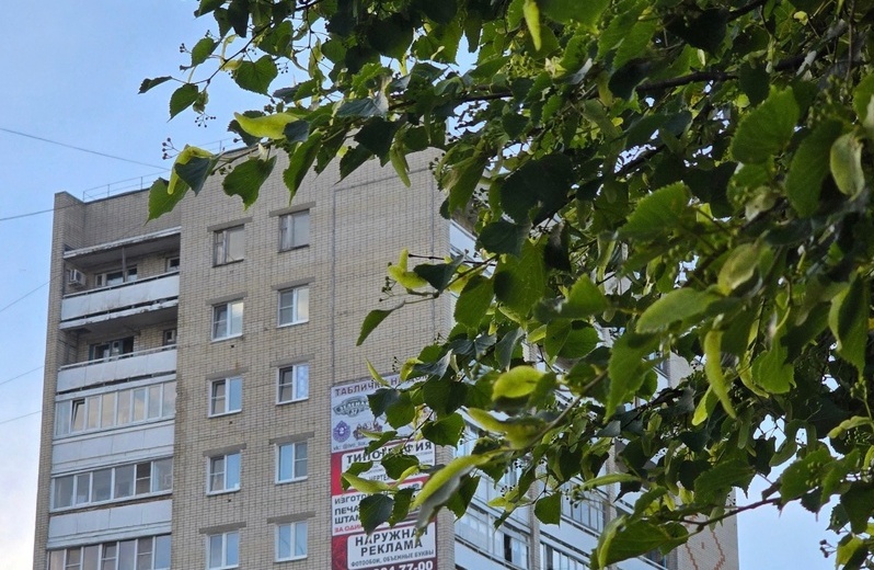 Борчане, лучше не ругайтесь в домовых чатах