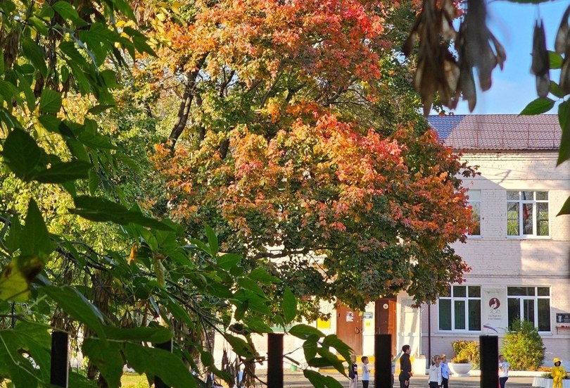 Отменят ли ЕГЭ?