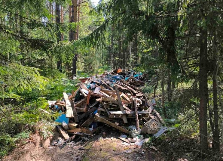 Зачем так поступают борчане?