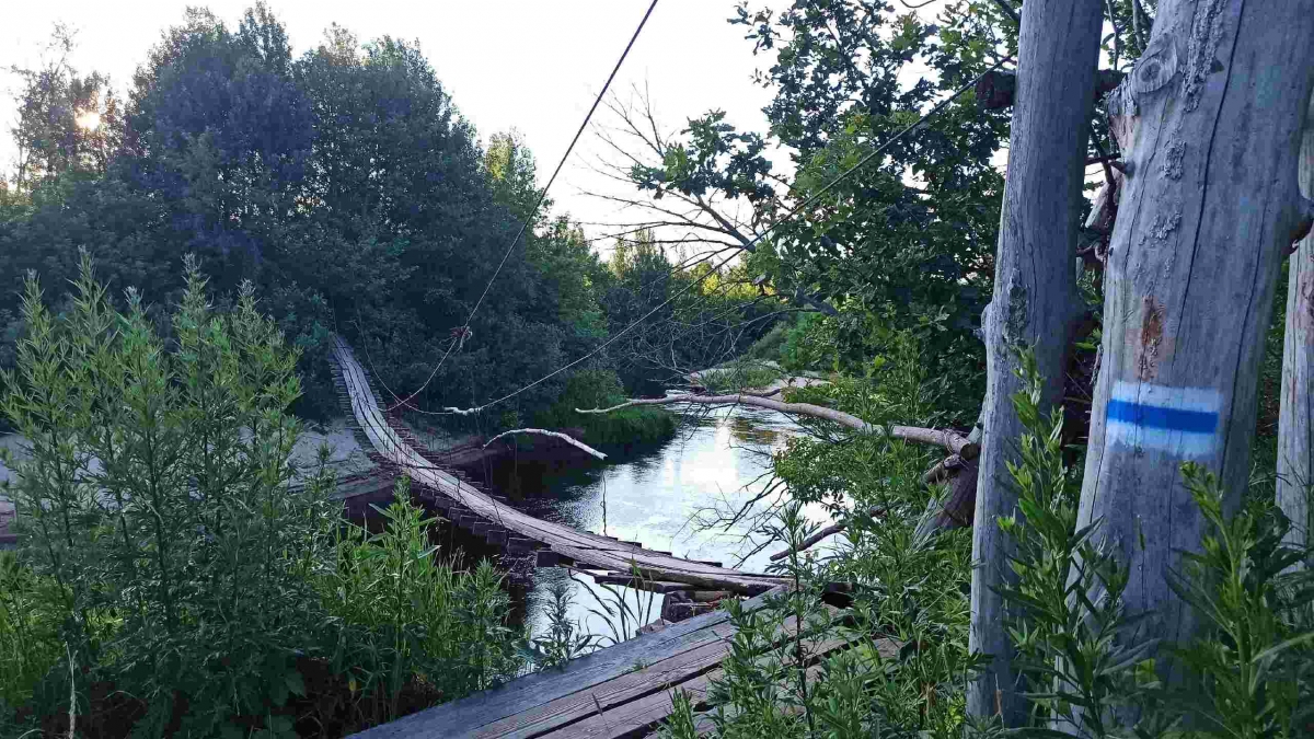 Интересное на Бору