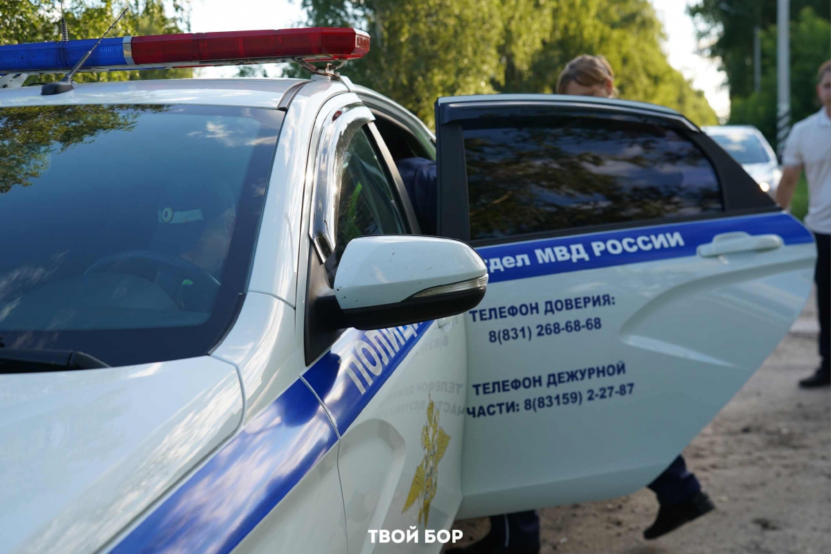 За что наказали борских родителей