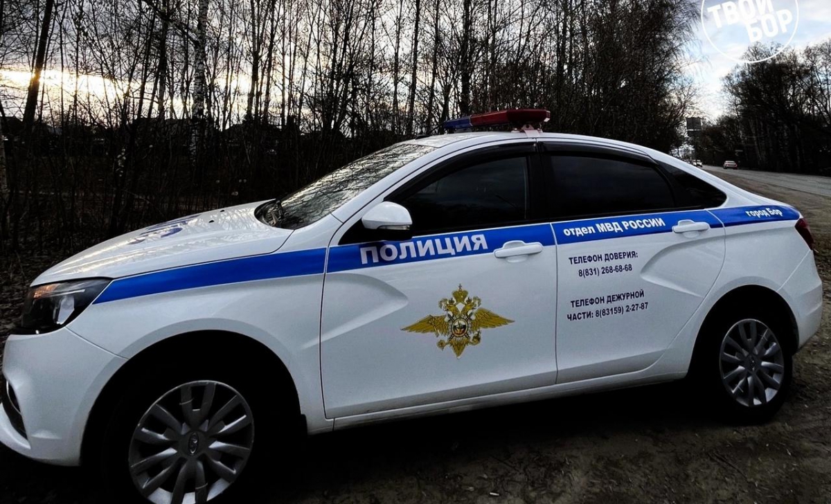 На Бору раскрыли автомобильный угон