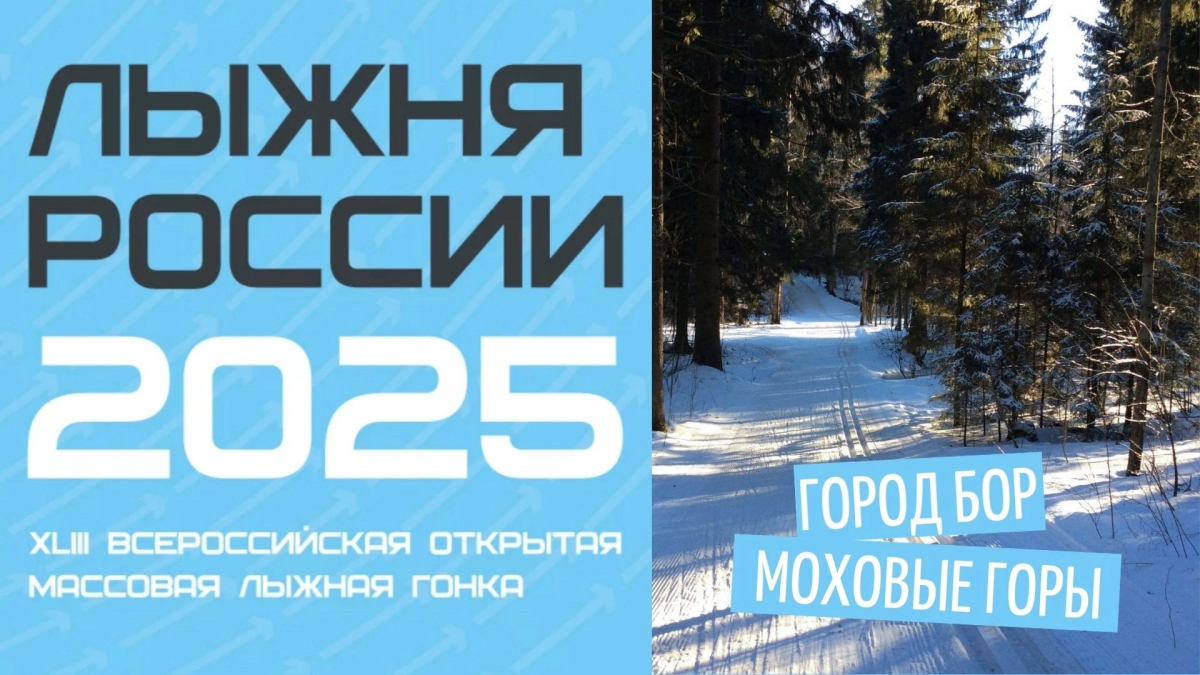 Лыжня России на Бору