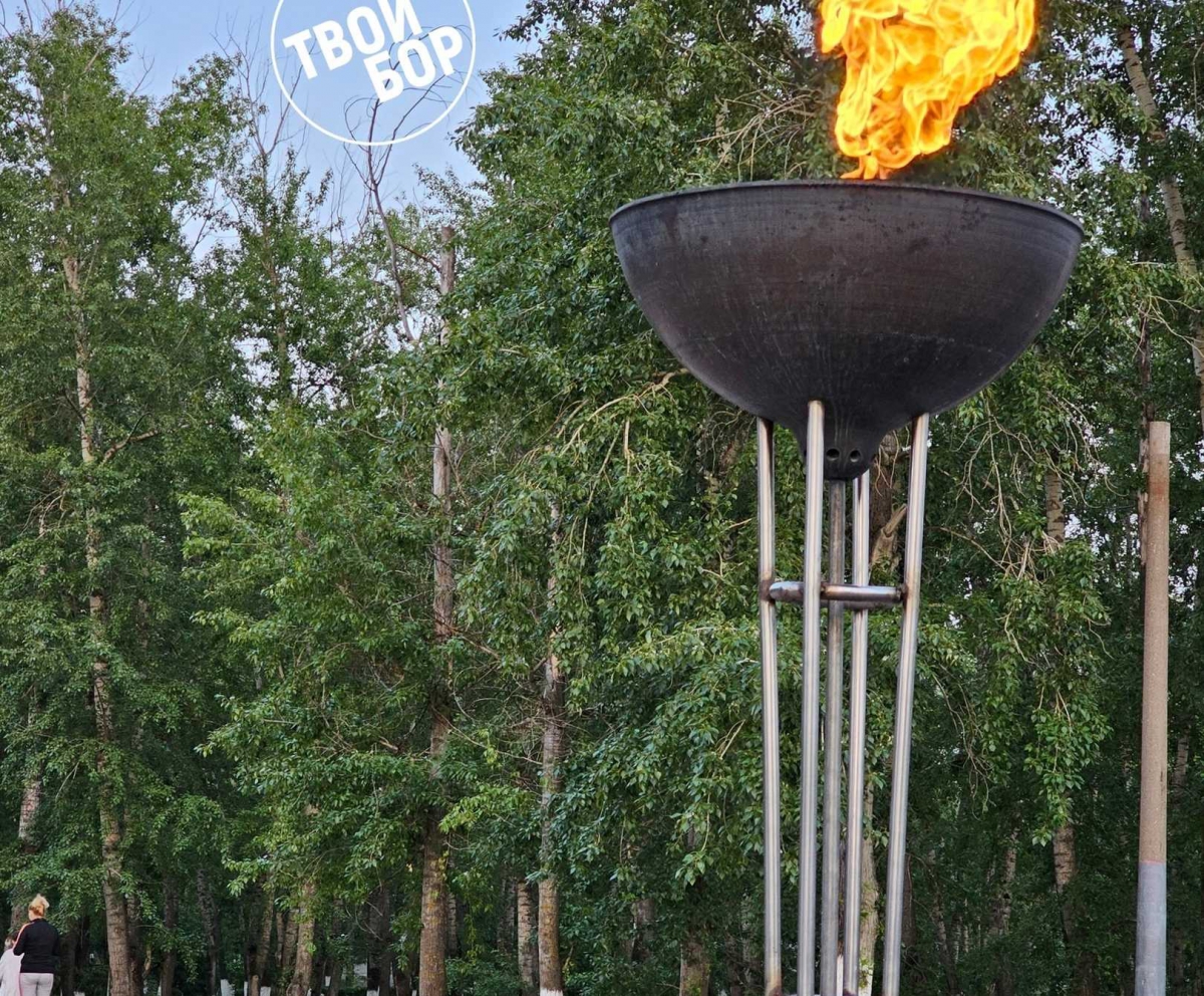 Благоустройство Аллеи ветеранов на Стекольном будет продолжено