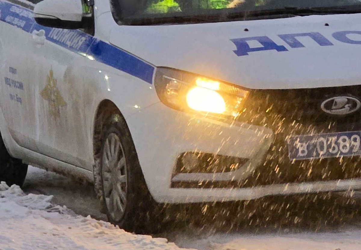 9 преступников задержаны на Бору