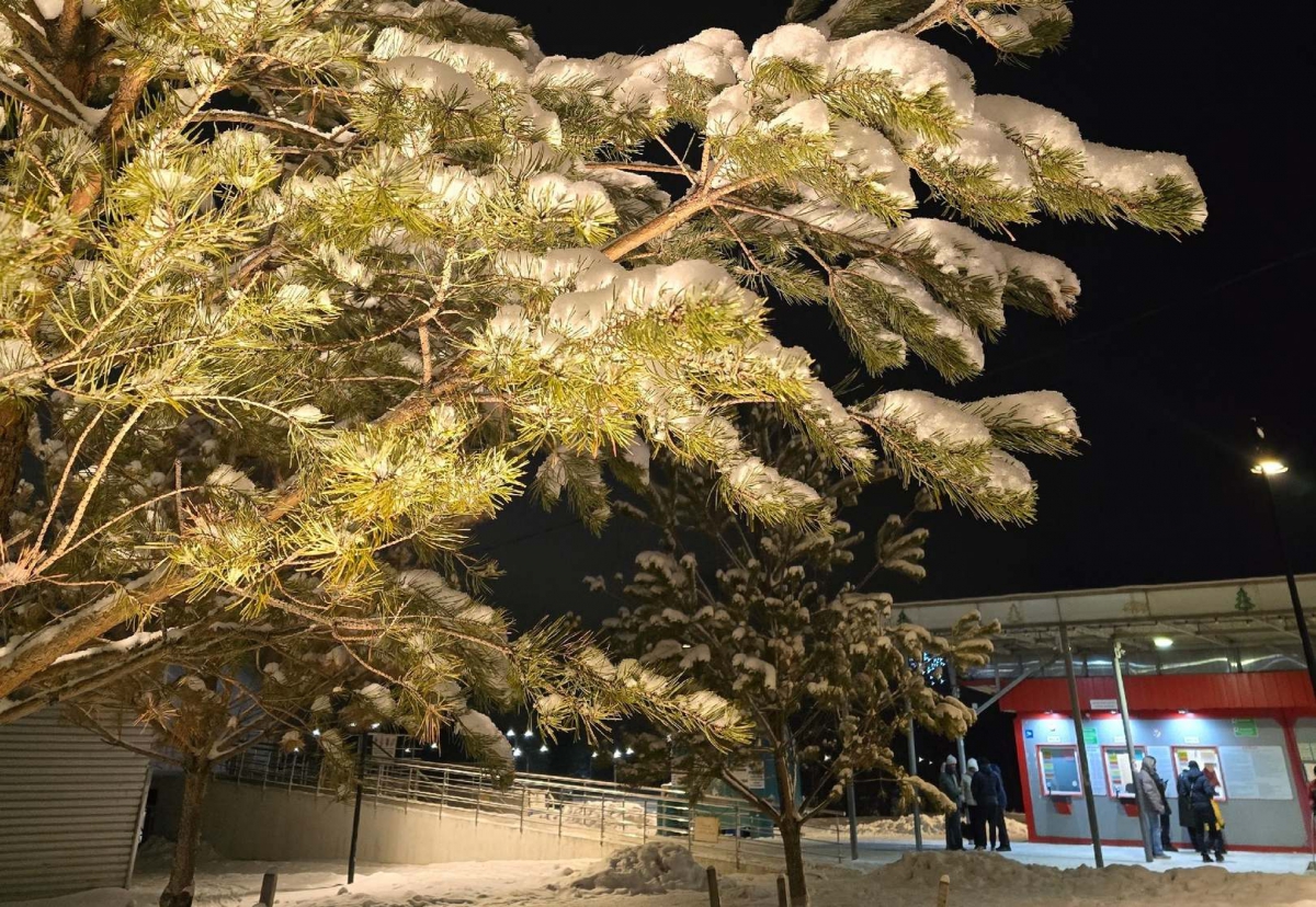 Очередной «климатический подарок» от нынешней зимы