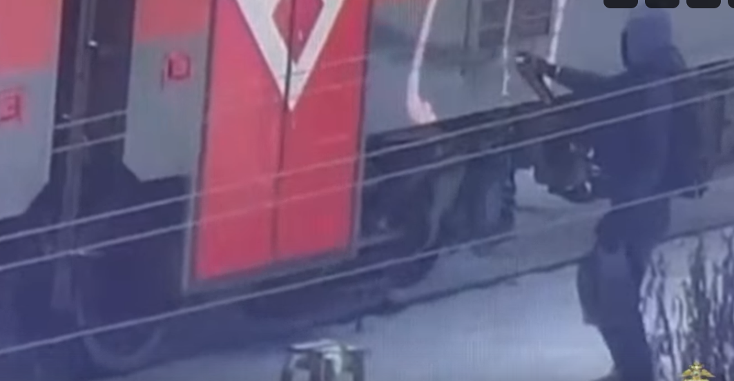 Нижегородская транспортная полиция задержала двух вандалов, которые разрисовали граффити электропоезд «Мыза — Моховые горы»