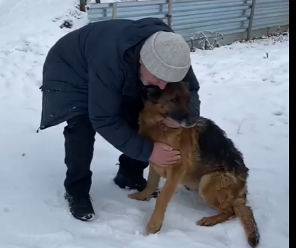 Это самое доброе, что, возможно, вы сегодня увидите