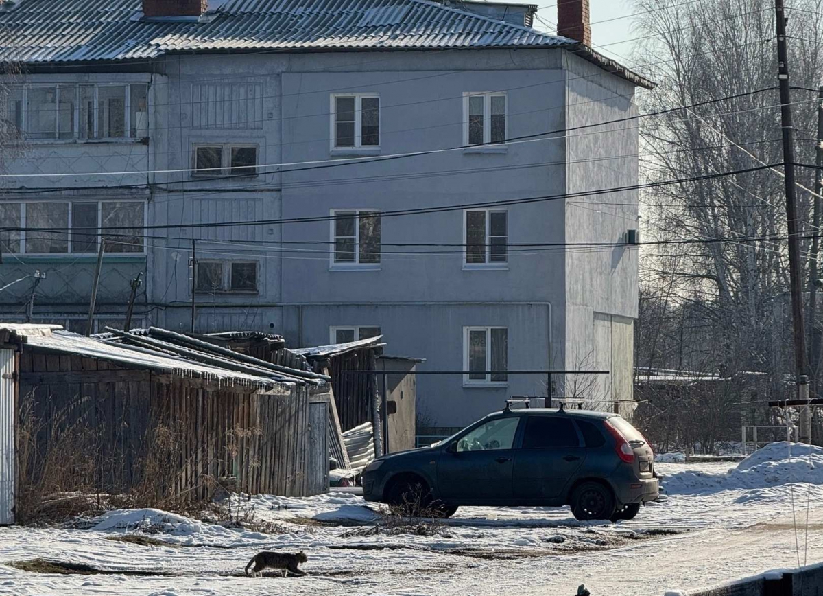 В России с 1 марта на собраниях жильцов можно будет голосовать через "Госуслуги"