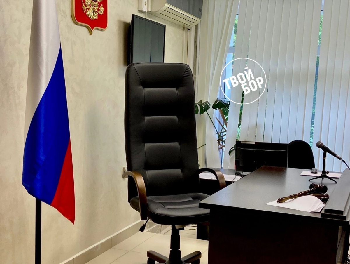 Борчанку приговорили к колонии-поселению