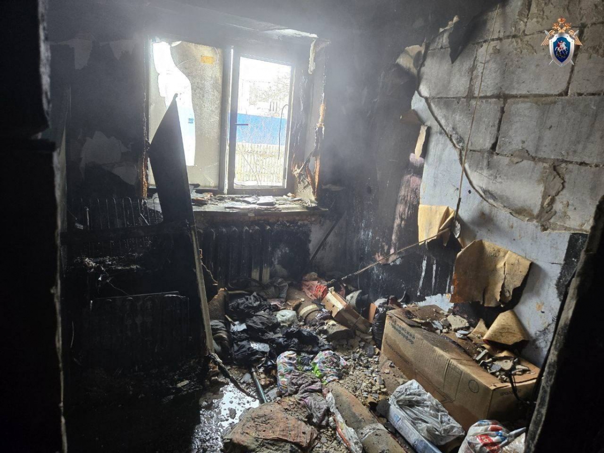 Выясняются обстоятельства гибели на пожаре двух человек в Борском округе