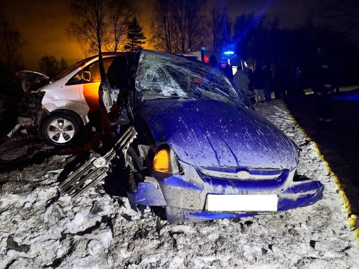 «Пьяные убийцы» орудуют на Бору