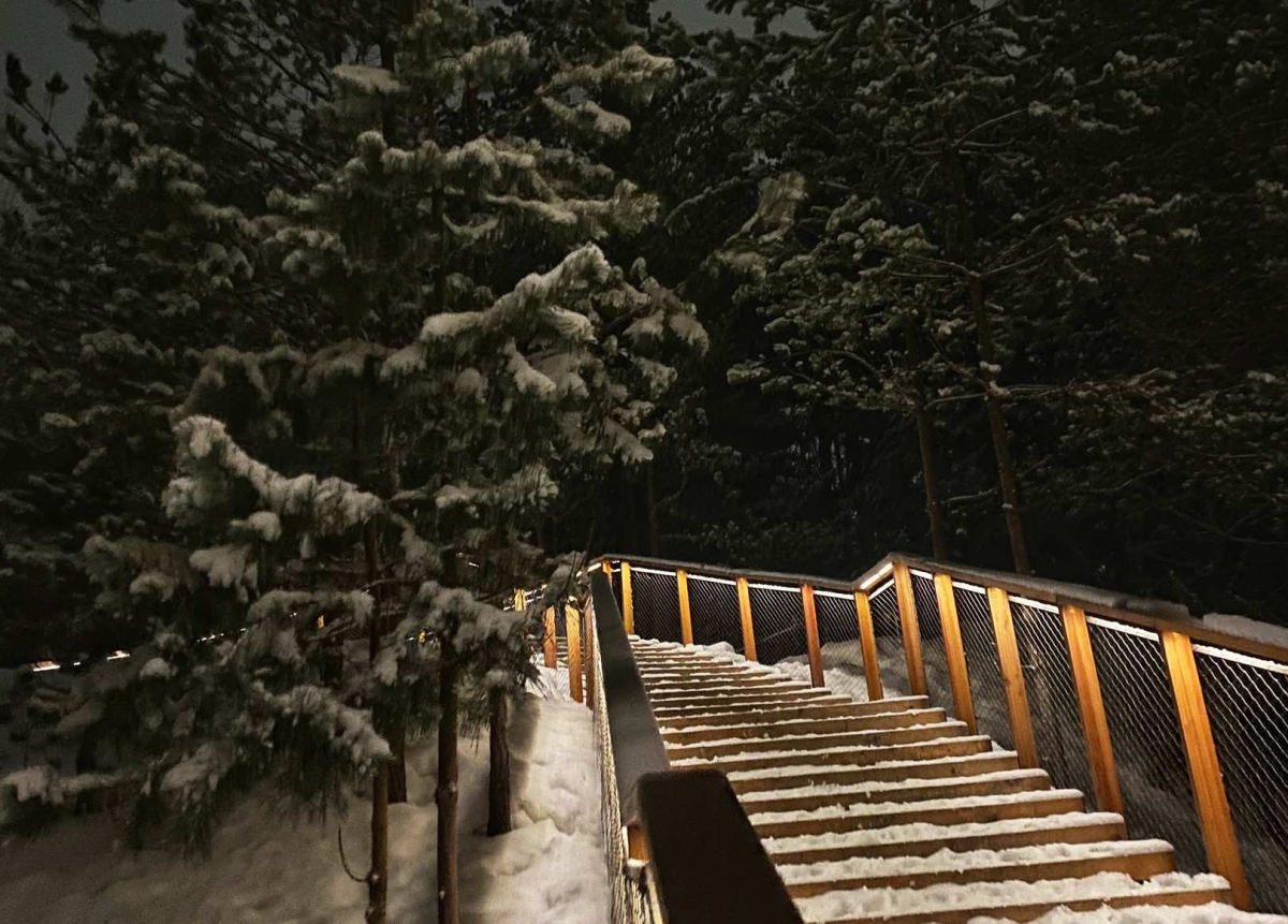 Отключение электроэнергии на Бору 12 февраля