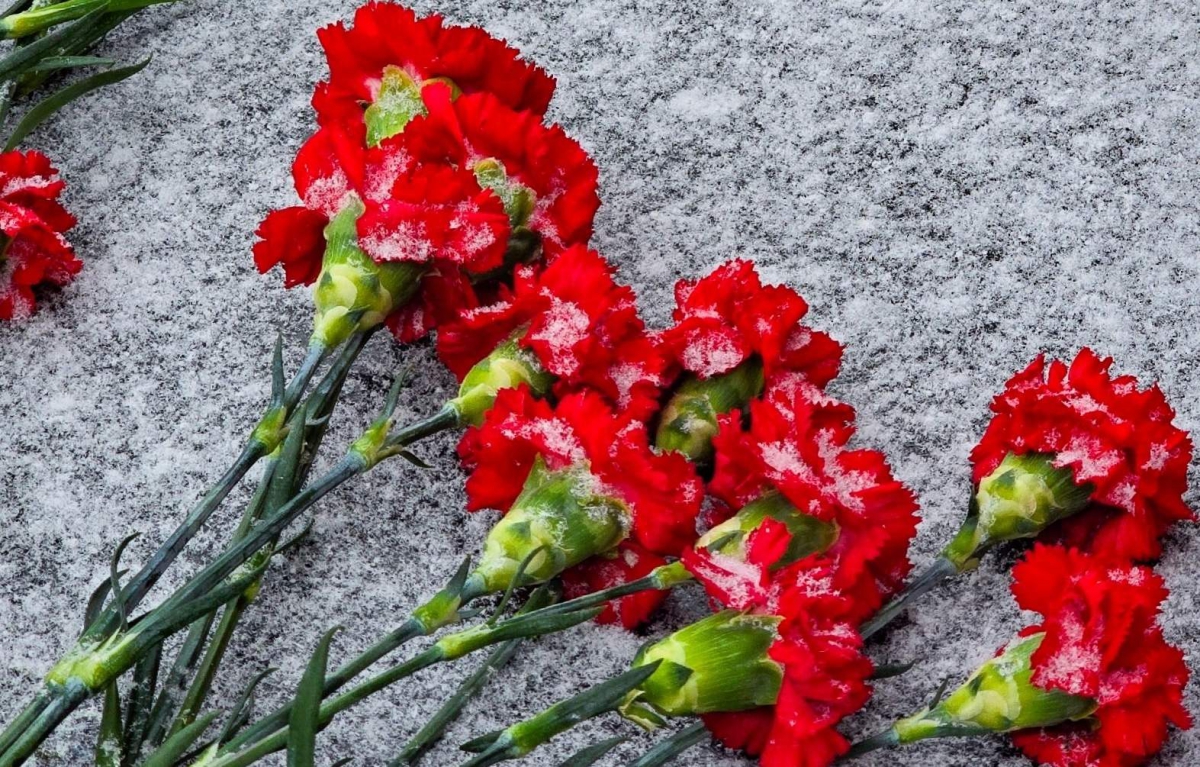 В Борском округе в честь погибших на СВО откроют мемориальные доски