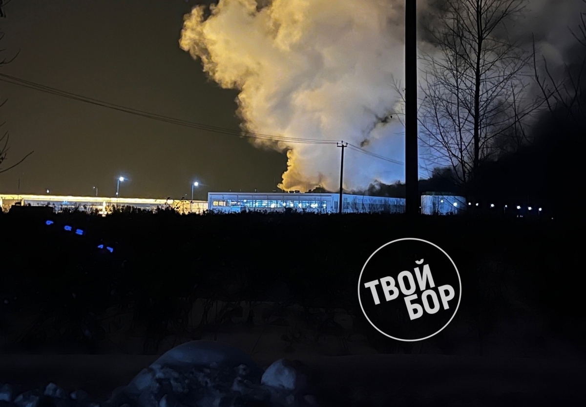 Борские теплицы обвинили в сливе загрязненных стоков