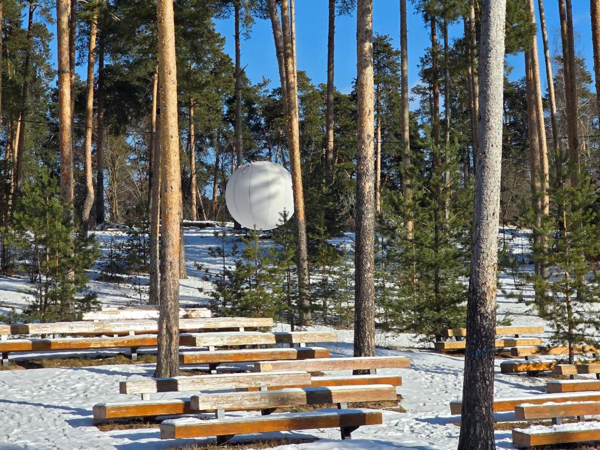 Какой будет весна на Бору?