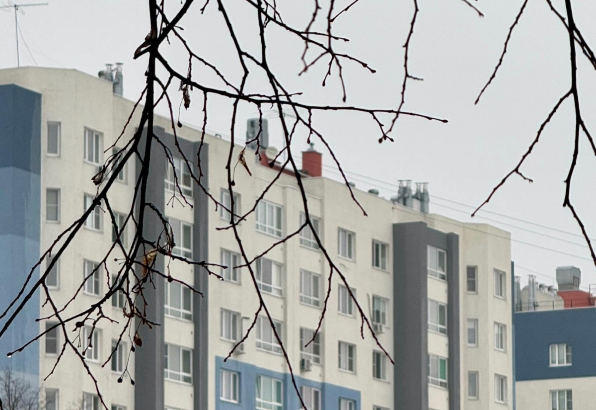 Тема дублирующихся названий в Борском округе нашла грустное подтверждение насущности вопроса