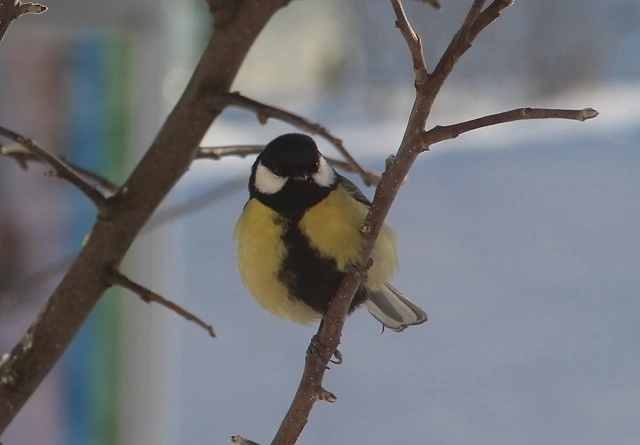 Что-то похожее уже было в 1997...